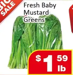 Jian Hing Supermarket Fresh Baby Mustard Greens offer