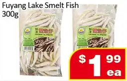 Jian Hing Supermarket Fuyang Lake Smelt Fish offer