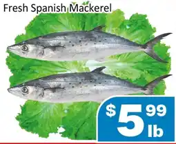 Jian Hing Supermarket Fresh Spanish Mackerel offer