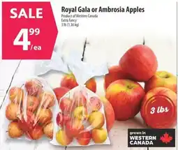 Co-op Royal Gala or Ambrosia Apples offer