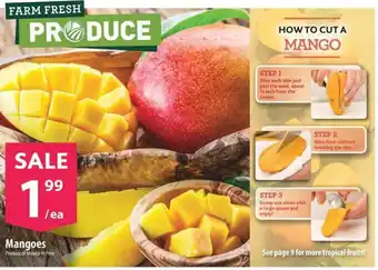 Co-op Mangoes offer