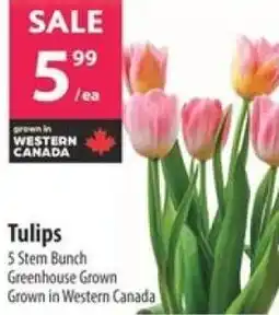 Co-op Tulips offer