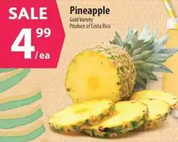 Co-op Pineapple offer