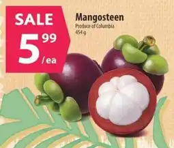 Co-op Mangosteen offer