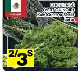 Supermarché PA CHOU FRISÉ | Kale botte offer