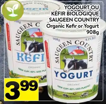 Supermarché PA YOGOURT OU KÉFIR BIOLOGIQUE SAUGEEN COUNTRY | Organic Kefir or Yogurt offer