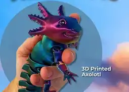 Showcase 3D Printed Axolotl offer