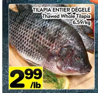 Supermarché PA TILAPIA ENTIER DÉGELÉ | Thawed Whole Tilapia offer