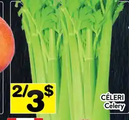 Supermarché PA CÉLERI | Celery offer