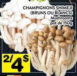 Supermarché PA CHAMPIGNONS SHIMEJI (BRUNS OU BLANCS) | Mushrooms offer