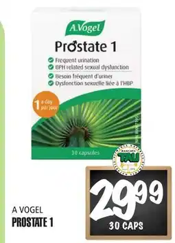 Marches Tau PROSTATE1 A VOGEL offer