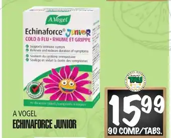 Marches Tau ECHINAFORCE JUNIOR A VOGEL offer