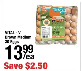 Arz Fine Foods Vital - v brown medium offer