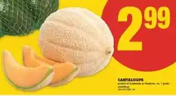 No Frills Cantaloupe offer