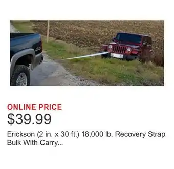 Costco Erickson (2 in. x 30 ft.) 18,000 lb. Recovery Strap Bulk With Carry Bag offer