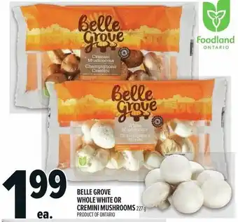 Metro Belle grove whole white or cremini mushrooms offer