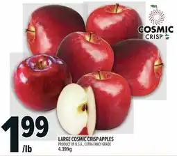 Metro Large cosmic crisp apples product of u.s.a., extra fancy grade 4.39/kg offer