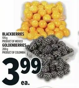 Metro Blackberries or Goldenberries offer