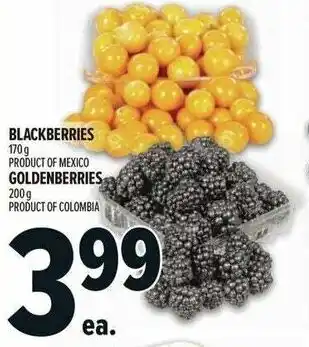 Metro Blackberries or Goldenberries offer