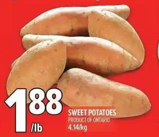 Metro Sweet potatoes offer