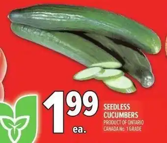 Metro Seedless cucumbers offer