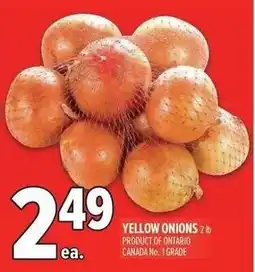 Metro Yellow onions offer