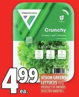 Metro Vision greens lettuces offer