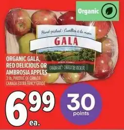 Metro Organic gala red delicious or cadascy-chada de finanse ambrosia apples offer