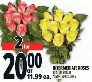 Metro Intermediate roses offer