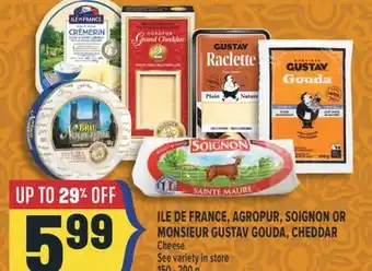 Marché Adonis ILE DE FRANCE, AGROPUR, SOIGNON OR MONSIEUR GUSTAV GOUDA, CHEDDAR Cheese offer