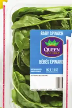 Giant Tiger 5 oz baby spinach offer