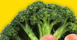 Giant Tiger Broccoli offer