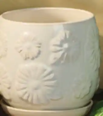 Giant Tiger Embossed white daisy planter: 5 offer