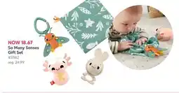 Babies 'R' Us Fisher Price So Many Senses Gift Set offer