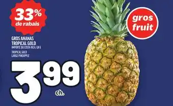 Metro GROS ANANAS TROPICAL GOLD | TROPICAL GOLD LARGE PINEAPPLE offer