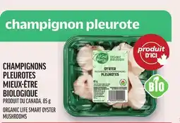 Metro CHAMPIGNONS PLEUROTES MIEUX-ÊTRE BIOLOGIQUE | ORGANIC LIFE SMART OYSTER MUSHROOMS offer