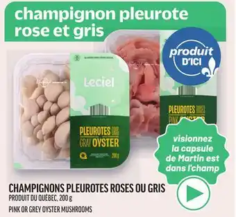 Metro CHAMPIGNONS PLEUROTES ROSES OU GRIS | PINK OR GREY OYSTER MUSHROOMS offer