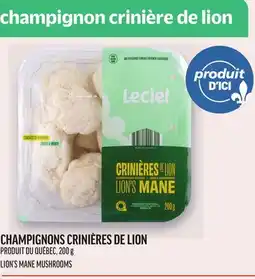 Metro CHAMPIGNONS CRINIÈRES DE LION | LION'S MANE MUSHROOMS offer