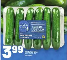 Metro MINI CONCOMBRES | BABY CUCUMBERS offer