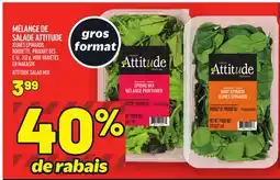 Metro MÉLANGE DE SALADE ATTITUDE | ATTITUDE SALAD MIX offer