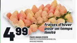 Metro FRAISE-ANANAS D'HIVER | WINTER FROST PINEBERRIES offer