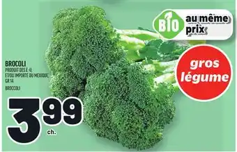 Metro BROCOLI | BROCCOLI offer