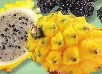 IGA PITAHAYA OR YELLOW PITAHAYA (DRAGON FRUIT) offer