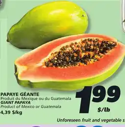 IGA GIANT PAPAYA offer