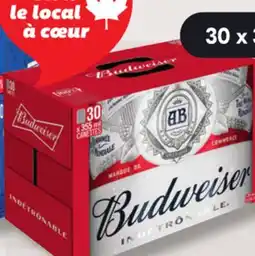 IGA BUDWEISER BEER offer