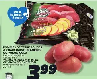 IGA YELLOW FLESHED RED, WHITE OR YUKON GOLD POTATOES offer