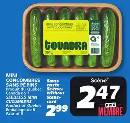 IGA SEEDLESS MINI CUCUMBERS offer