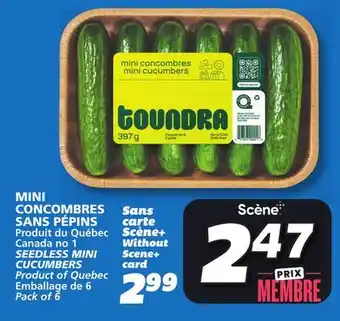 IGA SEEDLESS MINI CUCUMBERS offer