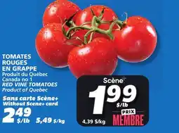 IGA RED VINE TOMATOES offer