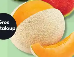 IGA CANTALOUPE offer